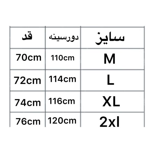 photo output 2024 12 16T152524.989 - مزون رم