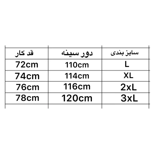 photo output 2024 12 22T110747.545 - مزون رم