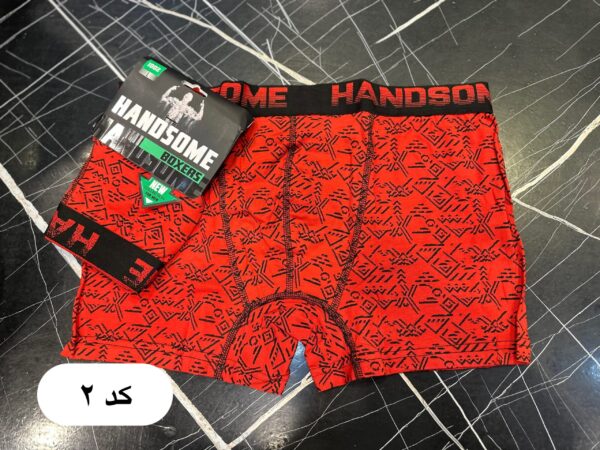 شورت پادار وارداتی HANDSOME - Image 2