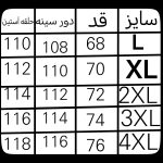 کاپشن مردانه نورث فیس - Image 11