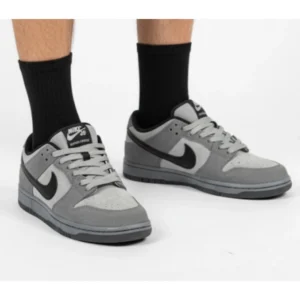 کتونی مردانه دانک ساده